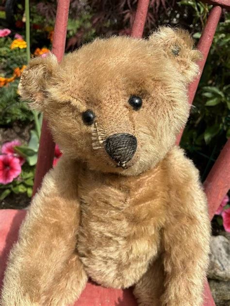 teddy bear identification